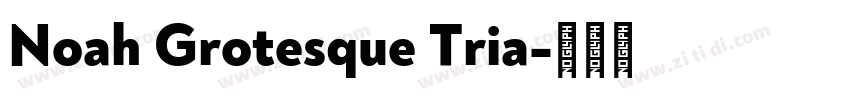 Noah Grotesque Tria字体转换 Noah Grotesque Tria字体转换